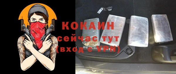 дживик Абаза