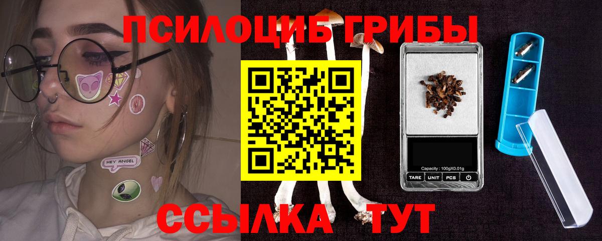 Галлюциногенные грибы прущие грибы Смоленск